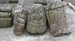 dsc00733_thumb.jpg