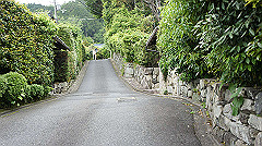dsc00742_thumb.jpg