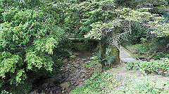 dsc00743_thumb.jpg