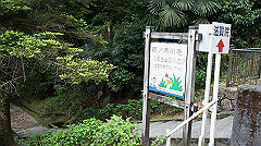 dsc00744_thumb.jpg