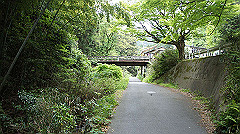 dsc00745_thumb.jpg