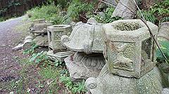 dsc00748_thumb.jpg