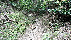 dsc00751_thumb.jpg