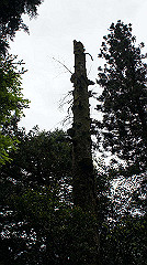 dsc00753_thumb.jpg