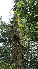 dsc00754_thumb.jpg