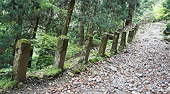 dsc00758_thumb.jpg