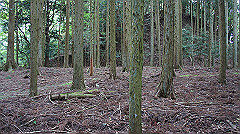 dsc00761_thumb.jpg