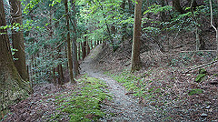 dsc00766_thumb.jpg