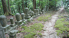 dsc00767_thumb.jpg
