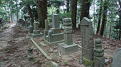 dsc00768_thumb.jpg