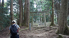 dsc00772_thumb.jpg