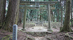 dsc00773_thumb.jpg