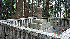 dsc00777_thumb.jpg