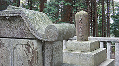 dsc00780_thumb.jpg