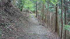 dsc00784_thumb.jpg