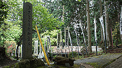 dsc00787_thumb.jpg