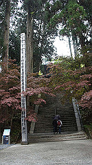 dsc00802_thumb.jpg