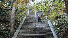 dsc00803_thumb.jpg