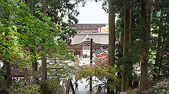 dsc00804_thumb.jpg