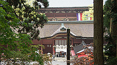 dsc00805_thumb.jpg
