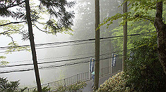 dsc00811_thumb.jpg