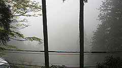 dsc00812_thumb.jpg