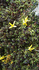 dsc00814_thumb.jpg