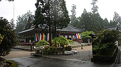 dsc00815_thumb.jpg