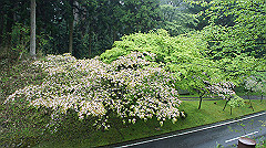 dsc00819_thumb.jpg
