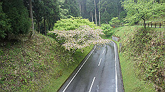 dsc00820_thumb.jpg