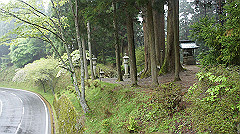 dsc00822_thumb.jpg