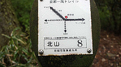 dsc00835_thumb.jpg