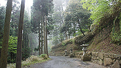 dsc00838_thumb.jpg