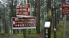 dsc00839_thumb.jpg