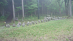 dsc00840_thumb.jpg