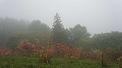 dsc00841_thumb.jpg