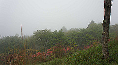 dsc00842_thumb.jpg