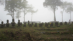 dsc00843_thumb.jpg