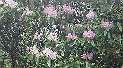 dsc00848_thumb.jpg