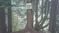 dsc00857_thumb.jpg