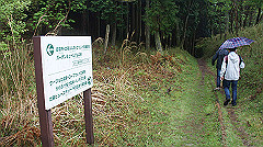 dsc00864_thumb.jpg