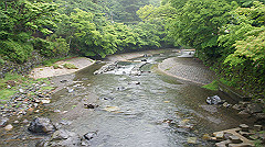 dsc00878_thumb.jpg