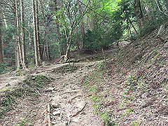 img_4396_thumb.jpg
