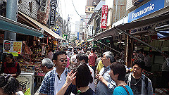 p5070005_thumb.jpg