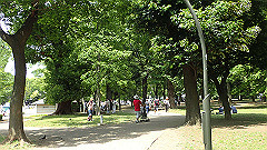 p5070011_thumb.jpg
