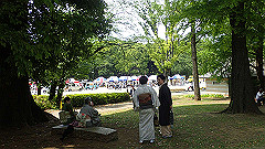 p5070012_thumb.jpg