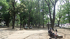 p5070016_thumb.jpg