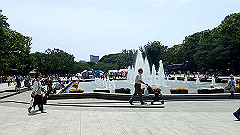 p5070018_thumb.jpg