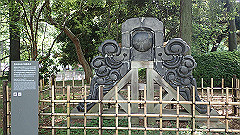 p5070026_thumb.jpg