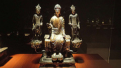 p5070046_thumb.jpg